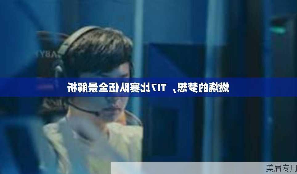 燃烧的梦想，TI7比赛队伍全景解析