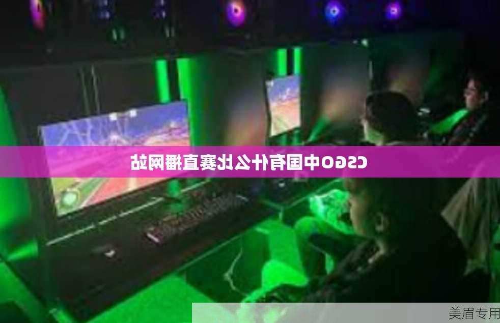 CSGO中国有什么比赛直播网站