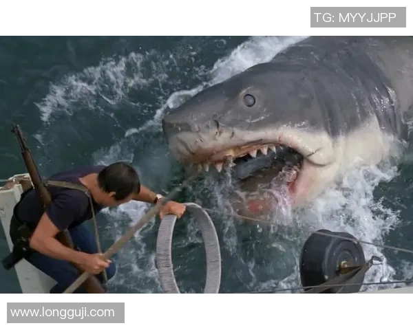 白鲨夺冠是哪场比赛-白鲨夺冠之路，揭秘赛场辉煌时刻-白鲨夺冠是哪场比赛