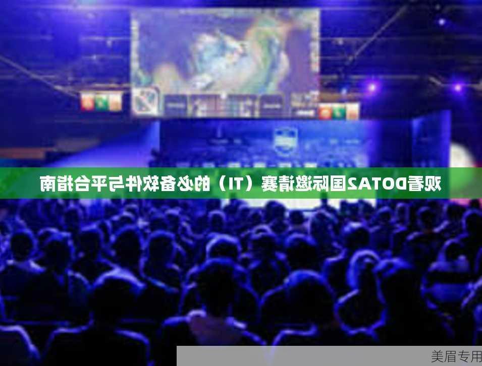 观看DOTA2国际邀请赛（TI）的必备软件与平台指南